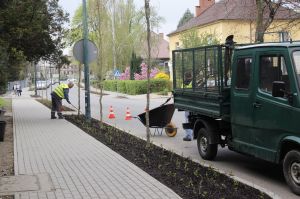 Foto dnia: Będzie zielono na Bogedaina